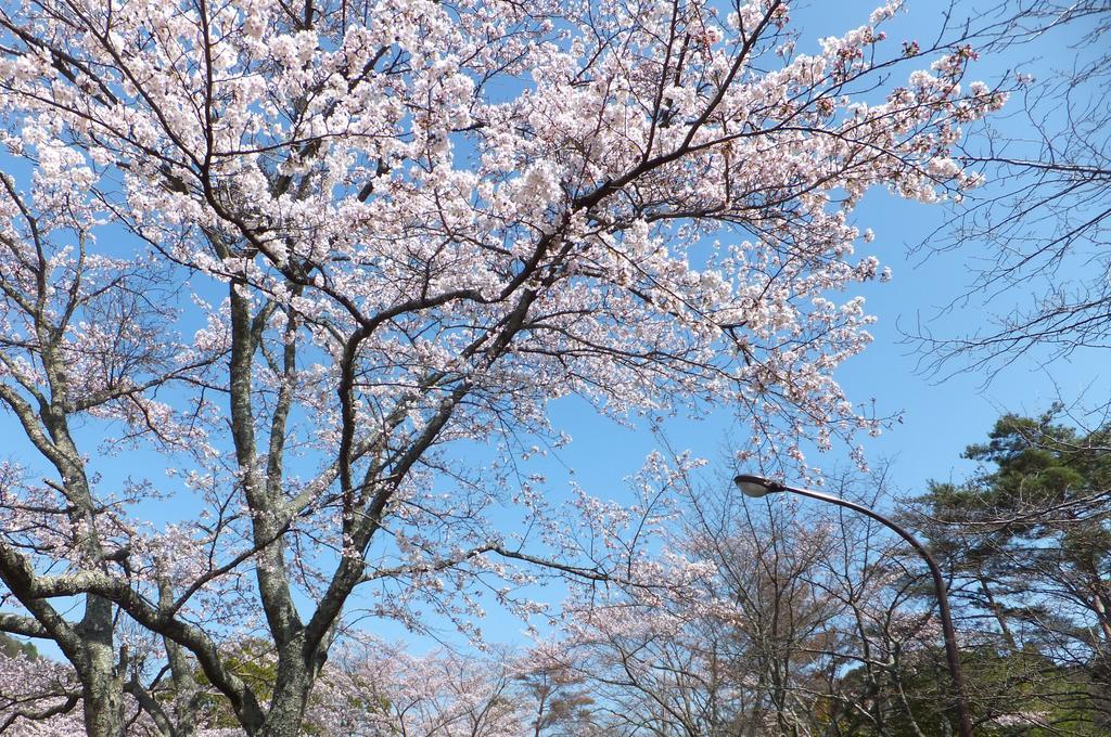 Отель Maple Inagawa Kawabe  Экстерьер фото